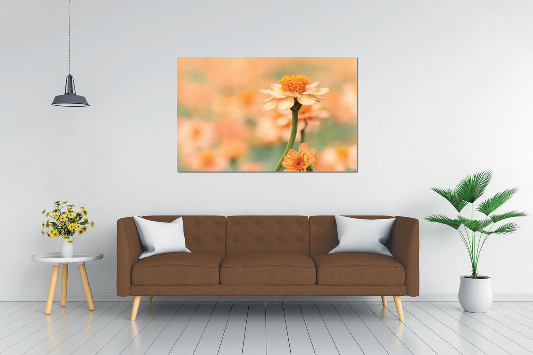 Art painting on canvas - Flowers 2 - One piece