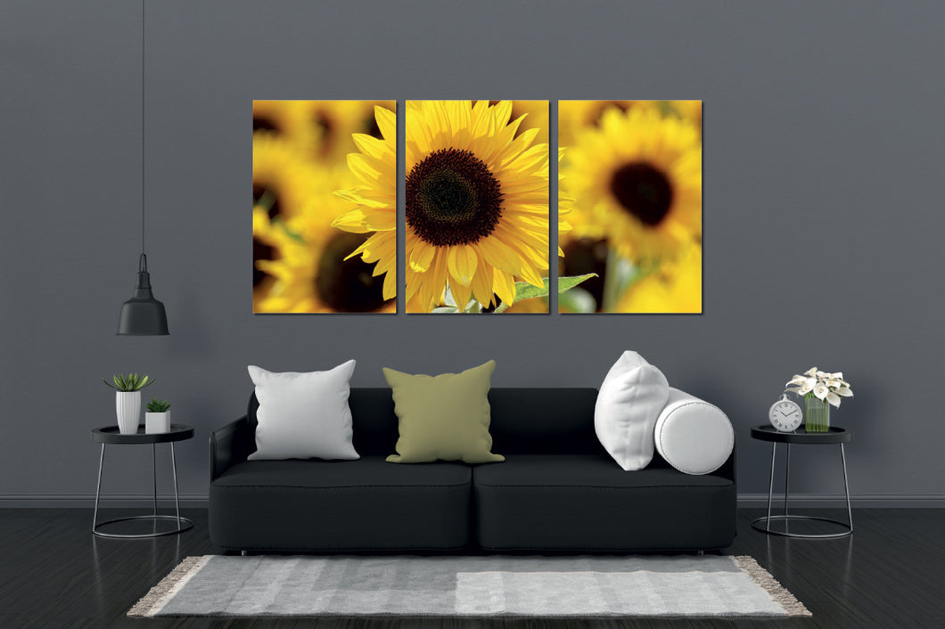 Umetnička slika na kanvasu - Cveće 12- Trodelna