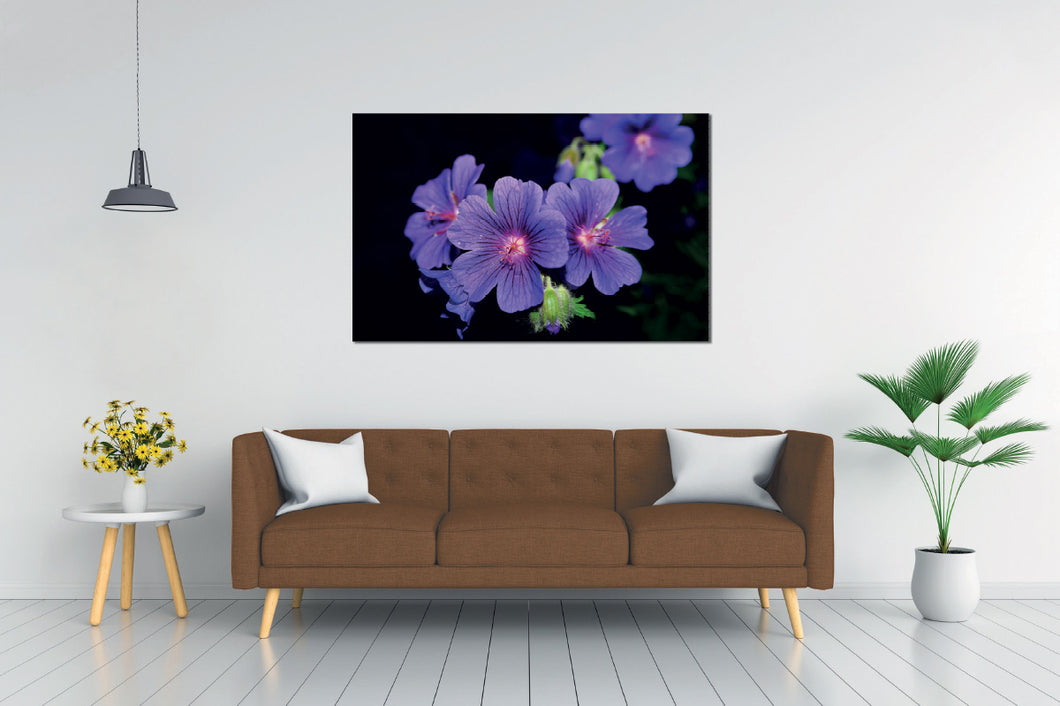Art painting on canvas - Flowers 4 - One piece