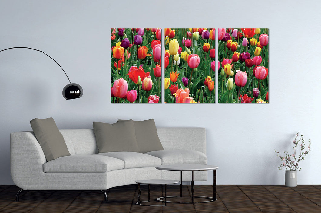 Umetnička slika na kanvasu - Cveće 21- Trodelna