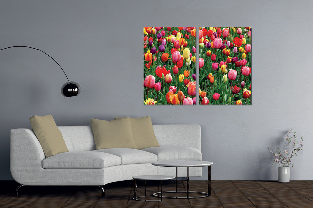Umetnička slika na kanvasu - Cveće 21 - Dvodelna