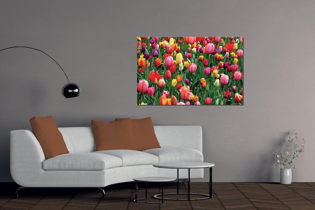 Umetnička slika na kanvasu - Cveće 21 - Jednodelna