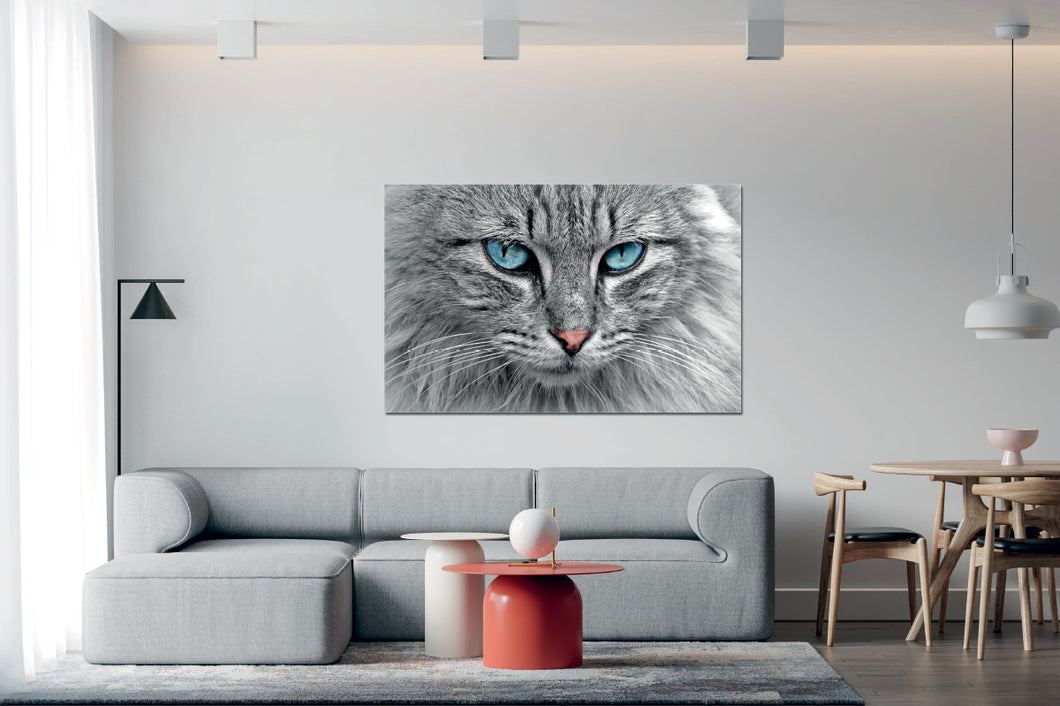 Umetnička slika na kanvasu - Životinje 14 - Jednodelna