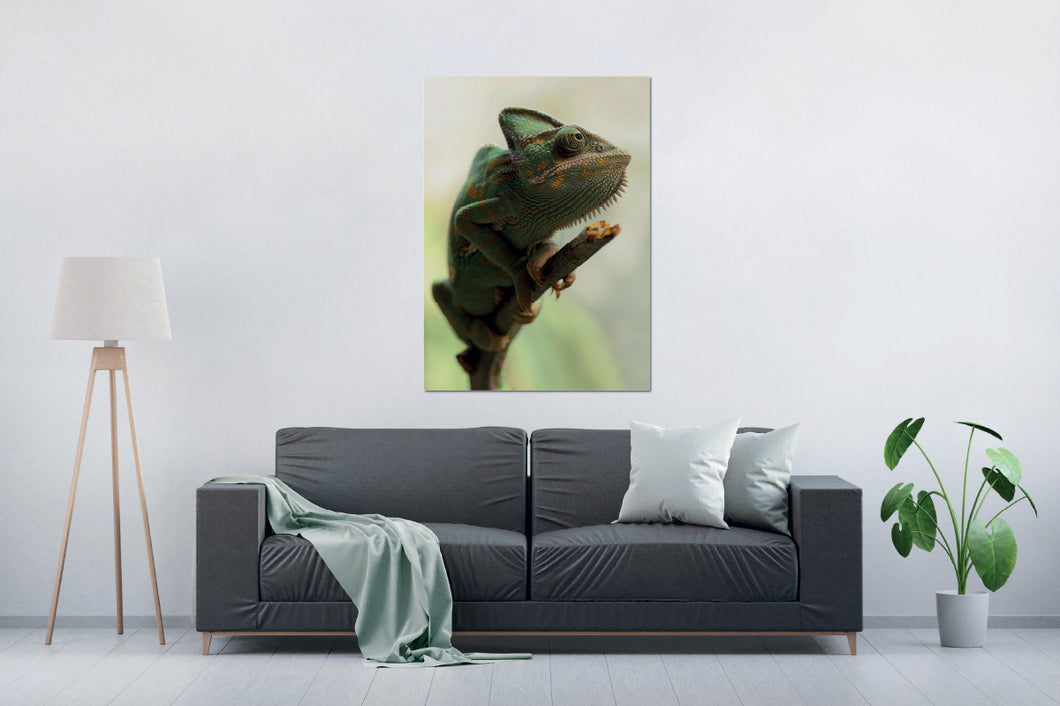 Umetnička slika na kanvasu - Životinje 17 - Jednodelna